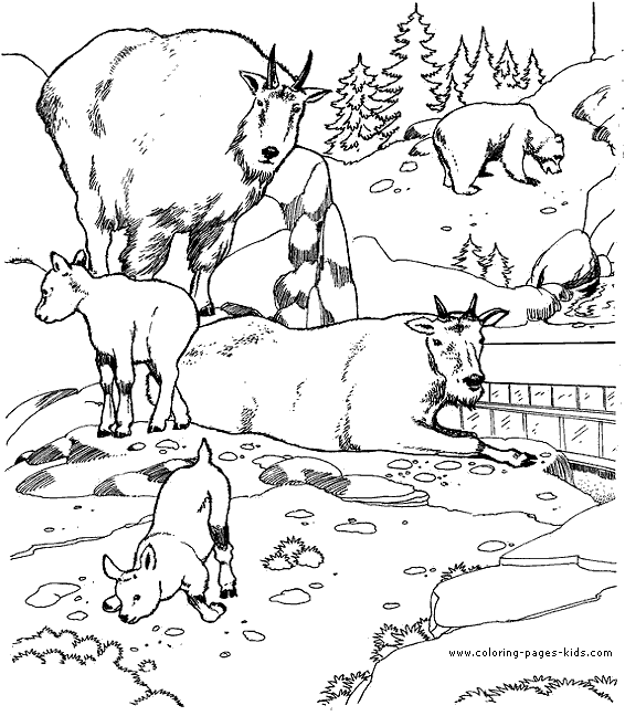 Zoo Coloring Pages | Coloring Pages To Print