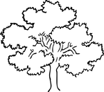autumn coloring pages 2