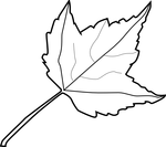 autumn coloring pages 4