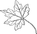 autumn coloring pages
