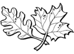 autumn coloring pages 1