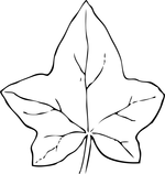 autumn coloring pages 1
