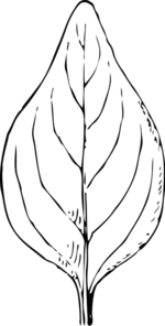 autumn coloring pages 2