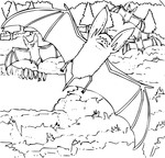 Bat Coloring Pages - 321 Coloring Pages