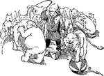 circus coloring pages 3