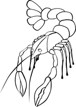 coloring animals 2