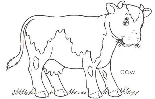 cow farm thumbnail