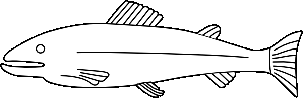 fish thumbnail