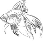 fish coloring pages 2