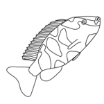fish coloring pages 3