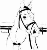 horse coloring pages 3