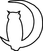 owl coloring pages