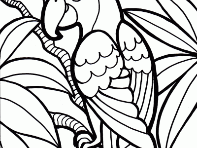 parrot bird thumbnail