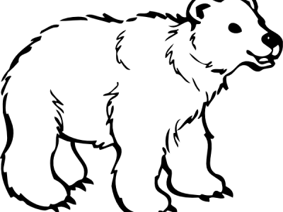 polar-bear thumbnail