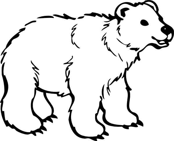 polar-bear thumbnail