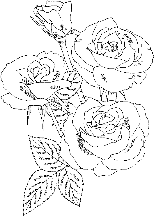 roses thumbnail
