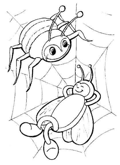 spider thumbnail