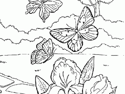 spring thumbnail